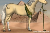 Horse Color:Palomino 