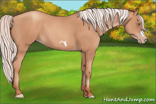 Horse Color:Silver Sable Champagne Frame 