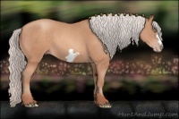 Horse Color:Silver Sable Champagne Frame 