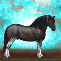 Horse Color:Gray White Spotted Brown