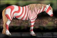 Horse Color:Gold Champagne