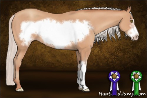 Horse Color:Silver Amber Champagne Frame 