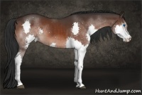 Horse Color:Brown Splash 