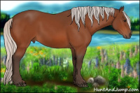 Horse Color:Silver Bay 