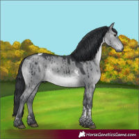 Horse Color:Grullo Chinchilla Tobiano Brindle 