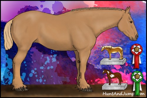 Horse Color:Chestnut Frame 