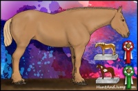 Horse Color:Chestnut Frame 