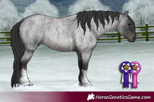 Horse Color:Blue Roan Tobiano 