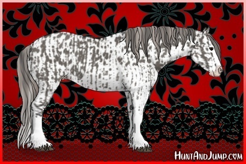 Horse Color:Grullo Sabino Splash  and Grullo Sabino Splash Appaloosa 
