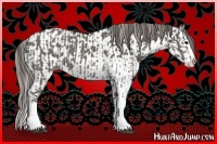 Horse Color:Grullo Sabino Splash and Grullo Sabino Splash Appaloosa