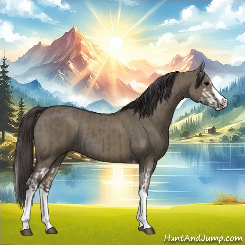 Horse Color:Grullo Sabino Splash and Smoky Grullo Sabino Splash