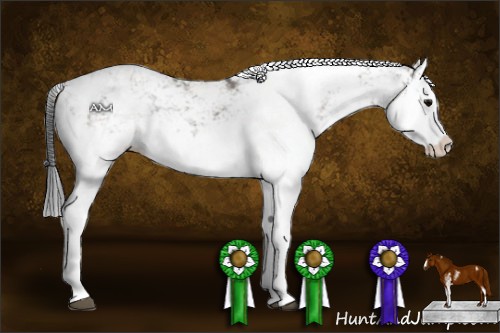 Horse Color:Grullo Sabino Splash  and Grullo Sabino Splash 