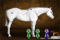 Horse Color:Grullo Sabino Splash  and Grullo Sabino Splash 