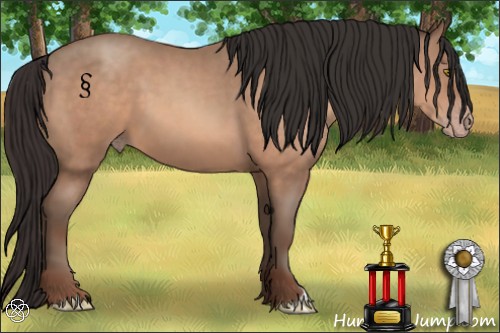 Horse Color:Sable Champagne 