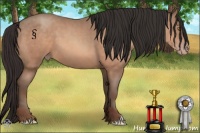 Horse Color:Sable Champagne 