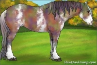 Horse Color:Nacre White Spotted Bay 