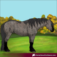 Horse Color:Void Grullo Sabino Splash Brindle  and Void Smoky Grullo Sabino Splash Brindle 