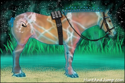 Horse Color:Thunderstruck Buckskin Appaloosa 