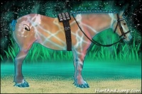 Horse Color:Thunderstruck Buckskin Appaloosa