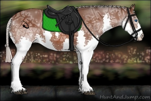 Horse Color:Silver Brown Ice Splash 