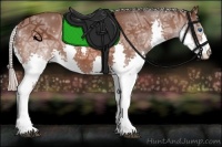 Horse Color:Silver Brown Ice Splash