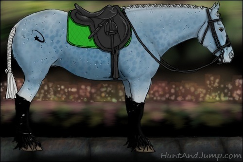 Horse Color:ERROR: UNKNOWN ANOMALY