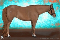 Horse Color:Chestnut  and Chestnut 