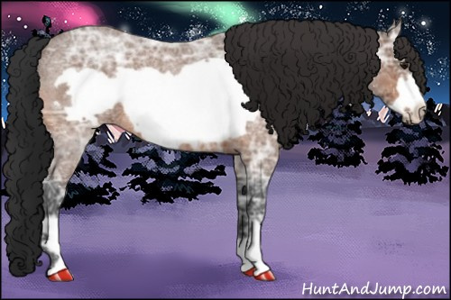 Horse Color:Bay Ice Roan Frame 