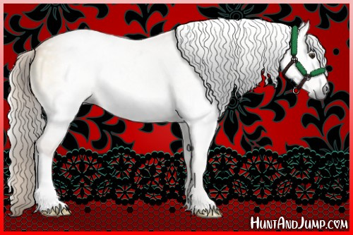 Horse Color:Gray Palomino Roan Onyx 