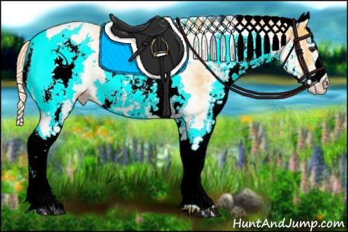 Horse Color:White Spotted Palomino 