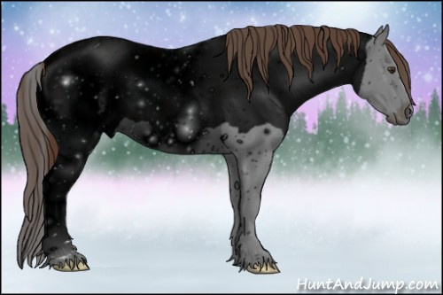 Horse Color:ERROR: UNKNOWN ANOMALY