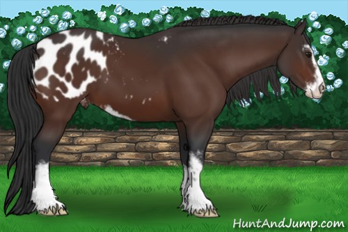 Horse Color:Brown Sabino Blanket