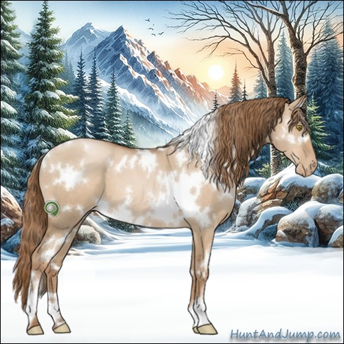 Horse Color:White Spotted Liver Red Dun Pearl 