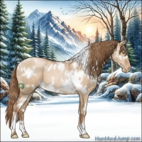 Horse Color:White Spotted Liver Red Dun Pearl