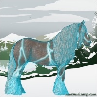 Horse Color:Thunderstruck Silver Black Rabicano