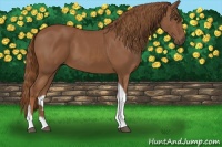 Horse Color:Chestnut Tobiano 