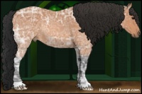 Horse Color:Bay Ice 