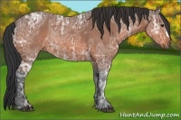 Horse Color:Brown Ice 