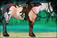 Horse Color:White Spotted Gold Cream Champagne Tobiano 