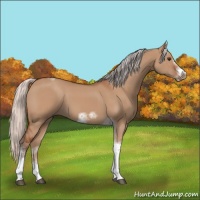Horse Color:Silver Bay Dun Sabino Tobiano Frame Rabicano 