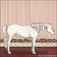 Horse Color:White Spotted Perlino Varnish 