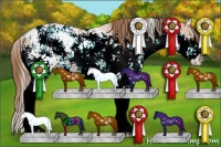 Horse Color:Bay Ice Pearl Sabino 