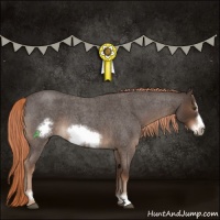 Horse Color:Liver Red Roan Sabino Frame 