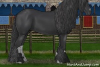 Horse Color:Black Sabino Rabicano 