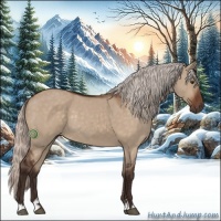 Horse Color:Silver Brown Dun Sabino Rabicano 