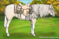 Horse Color:Palomino Roan Pearl Splash 