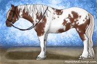 Horse Color:White Spotted Chocolate Silver Brown Tobiano