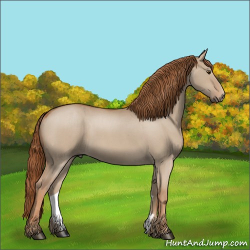 Horse Color:Red Dun Roan 