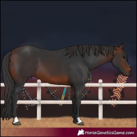Horse Color:Brown
