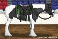 Horse Color:Black Tobiano 